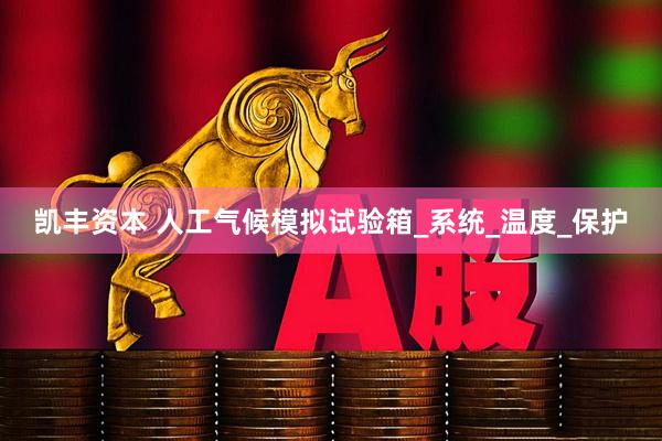 凯丰资本 人工气候模拟试验箱_系统_温度_保护