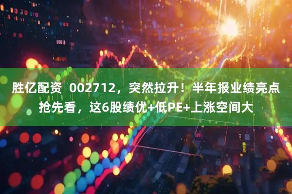 胜亿配资  002712，突然拉升！半年报业绩亮点抢先看，这6股绩优+低PE+上涨空间大