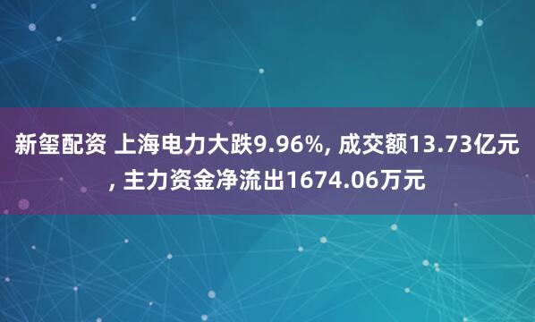 新玺配资 上海电力大跌9.96%, 成交额13.73亿元, 主力资金净流出1674.06万元