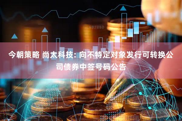 今朝策略 尚太科技: 向不特定对象发行可转换公司债券中签号码公告